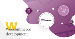 Hire WooCommerce Developer in Mohali: Improve Your E-commerce Success
