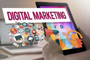 Digital Marketing Company in Mohali: Your Path to Online Success